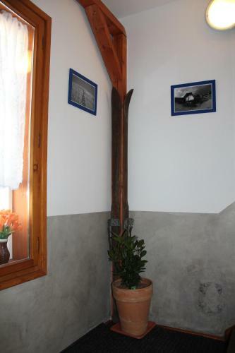 Hostal Modr� Pension