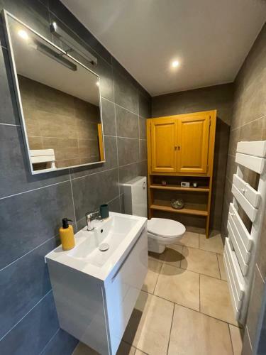 Apartamento Studio Terrasse Vue Lac Entr�e Ind�pendante
