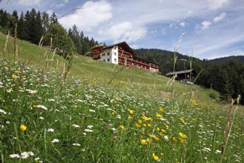 Hostal Alpenhof Strenge