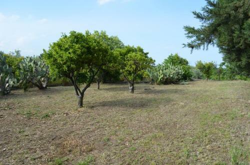 Apartamento Villa Bonaccorso