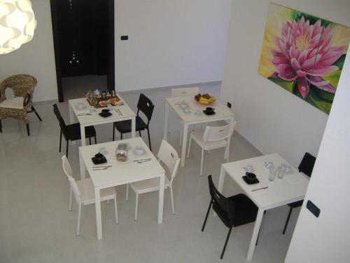 B&B Corallo