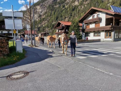 Apartamento Honzarhof