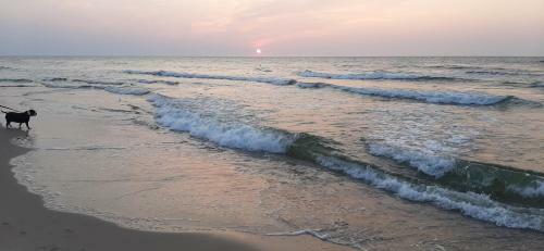 Apartament Riva