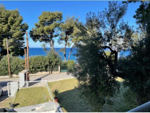 Angie's Seafront House In Akti Elia