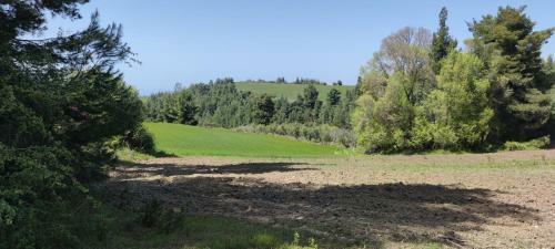 Groundfloor Apartment In Mola