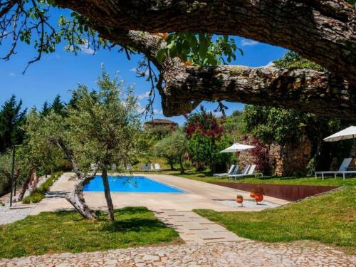 Nice Holiday Home In Carrazeda De Ansia With Private Terrace