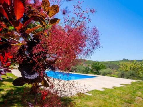 Nice Holiday Home In Carrazeda De Ansia With Private Terrace
