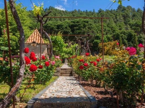 Nice Holiday Home In Carrazeda De Ansia With Private Terrace