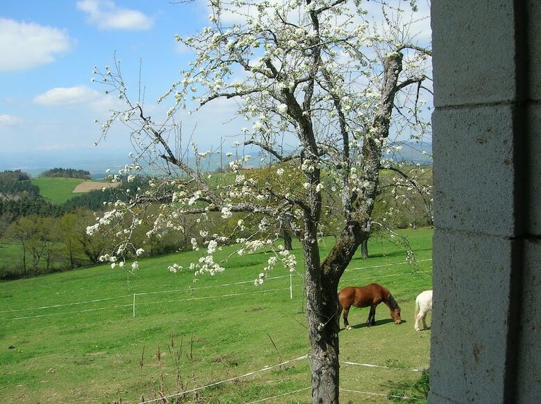 Hostal Auberge Les Liards