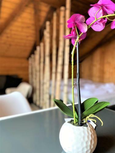 Top-uriges Apartment Mitten Im Bayerwald +netflix