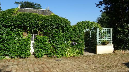 Bed & Breakfast Le Camelia