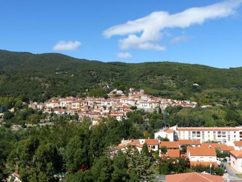 Apartamento Appartement Am�lie La Sardane