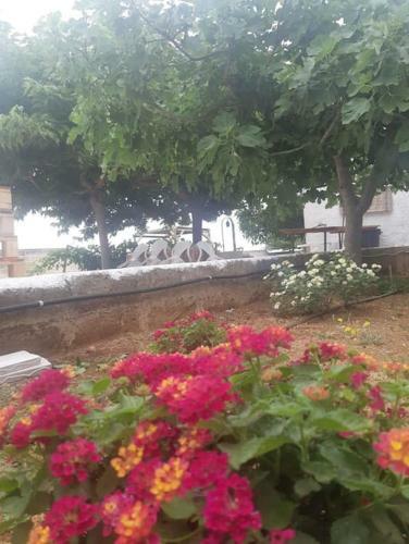 Casa Vacanze Salento: Villa Charlotte