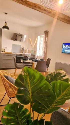 Apartamento Superbe Apt T2 En Centre-ville