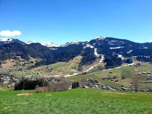 Apartamento Charmant Studio Duplex 26m2 � La Montagne