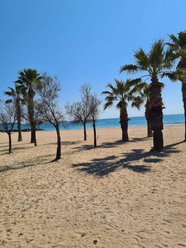 Mobil-home 661 Camping Saint Aygulf Plage