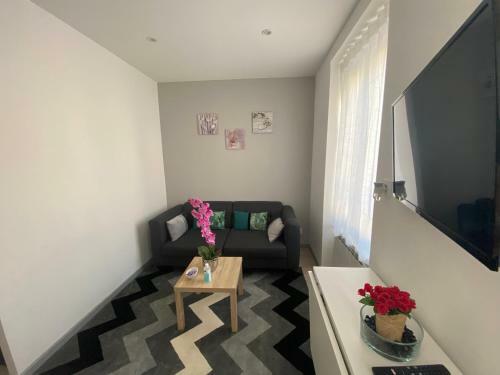 Apartamento La Merveille De Rochebonne.