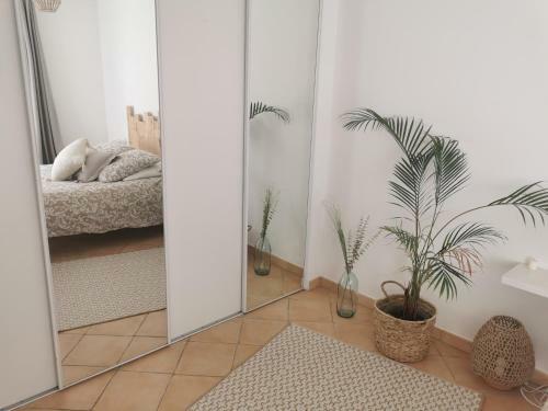 Apartamento Charmant T2 Proche Des Plages Du Mourillon