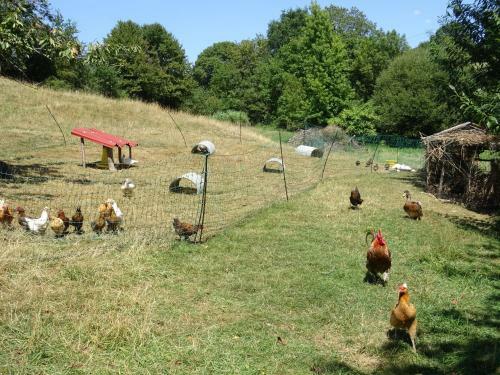 Ecolodge Terre Et Eau