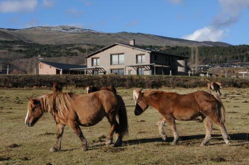 Les Feixes Llargues - Max 18 Pax