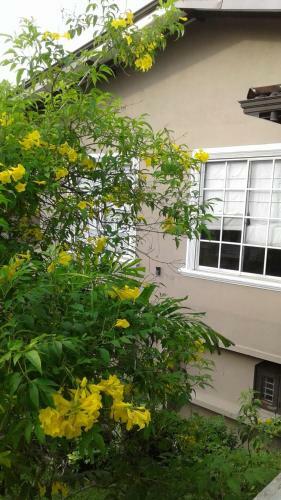 2 Bed Room Apartment