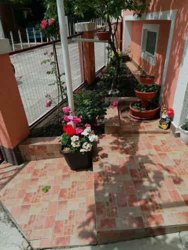 Apartamento Privatna Kuca Lela I Maja