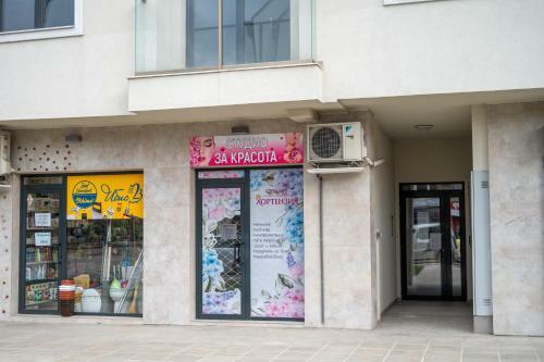 Sunny 1bdr Apartment Near Center - Free Parking
