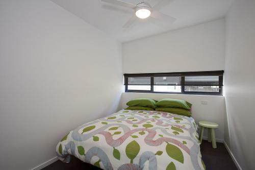The Shed