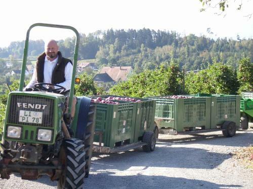 Apartamento Ferien- Und Obsthof Sonnenhalde