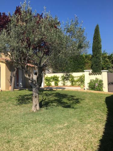 D�tente En Provence