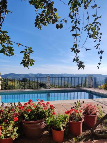 Bed & Breakfast Cortijo Sylvestre