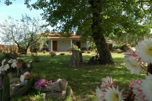 Agroturismo Agriturismo San Vincenzo