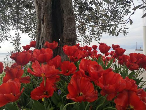 Bed & Breakfast Relais Villa Stella