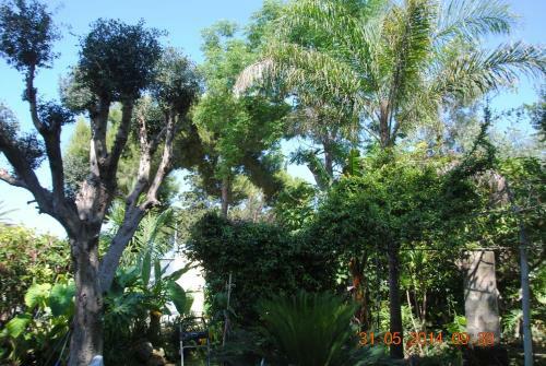 Bed & Breakfast Relais Villa Stella