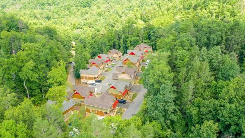 Smoky Pines Chalet - Free Putt-putt Course! Chalet