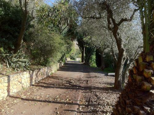 Agroturismo Agriturismo La Rocca Di Perti