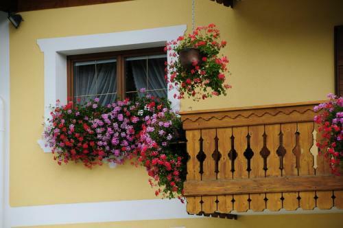 Apartamento Appartamenti C�sa Crepa Neigra