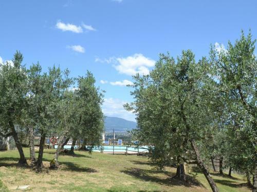Agroturismo La Casa Degli Olivi 2