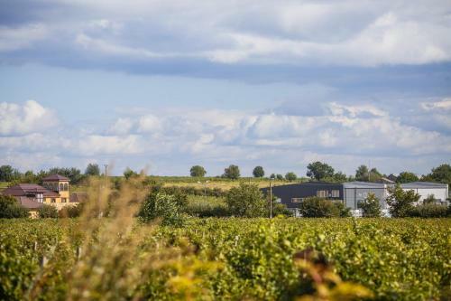 Hotel Domeniile Panciu Winery & Resort
