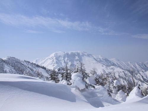 Apartamento Angel Resort Yuzawa 417