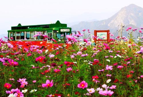 Apartamento Angel Resort Yuzawa 610