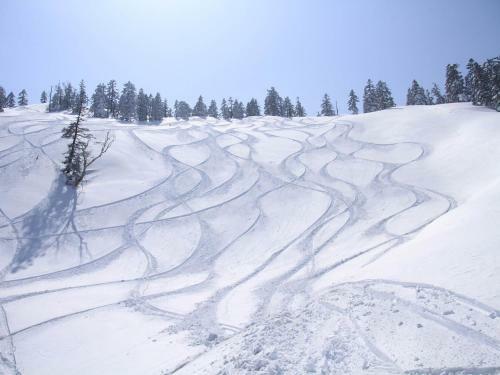 Apartamentos Angel Resort Yuzawa 407