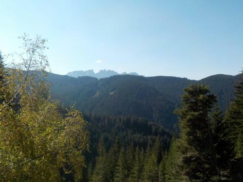 Agroturismo Plaf�tschalm