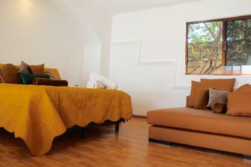 Casa Galgo: Full House To Live Cholula