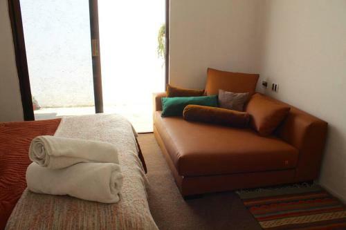 Casa Galgo: Full House To Live Cholula