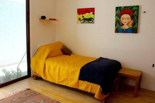 Casa Galgo: Full House To Live Cholula