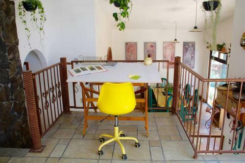 Casa Galgo: Full House To Live Cholula
