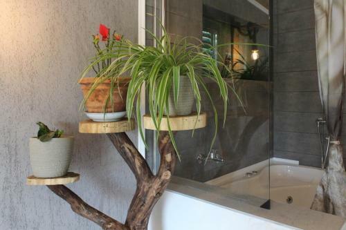 Villa Lorela Mit Privatem Pool
