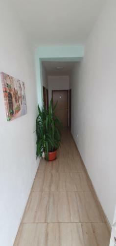 Apartmani Savovi?