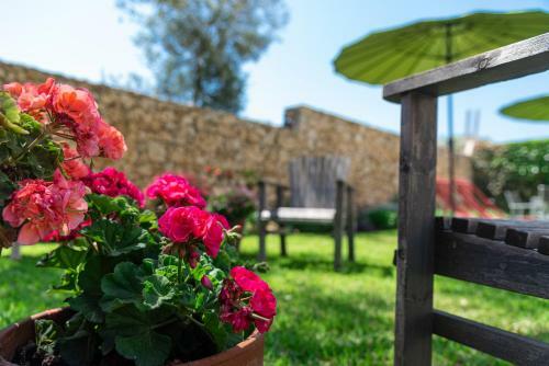 Villa Stardust Guesthouse
